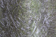 Folkestone fibreglass roof work